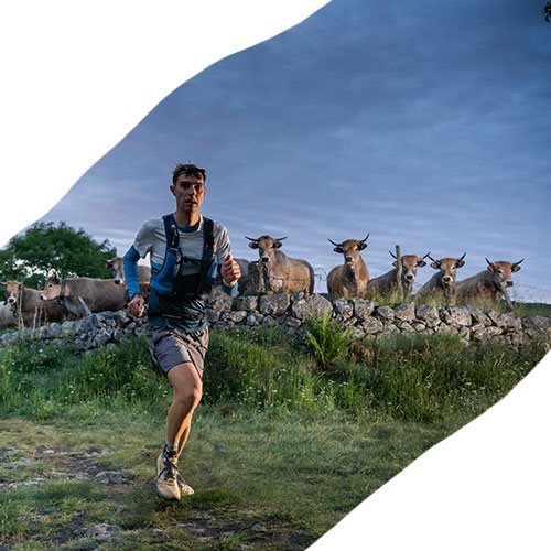 Trail en Aubrac - Lozère - Occitanie